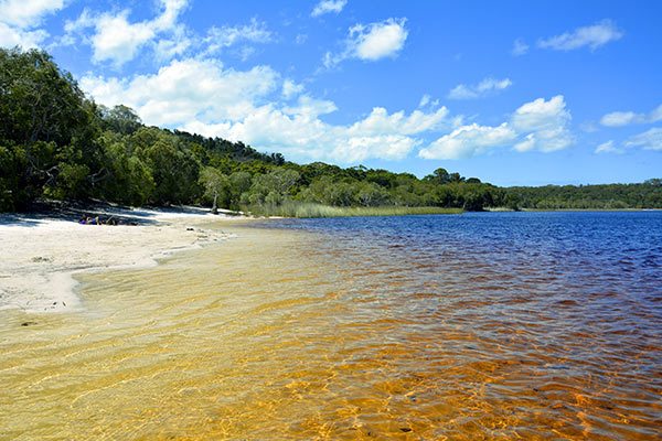 Fraser-Island-Tours-Rainbow-Beach-Tours