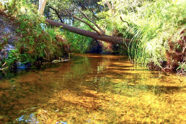 Fraser-Island-Tours-Rainbow-Beach-Tours