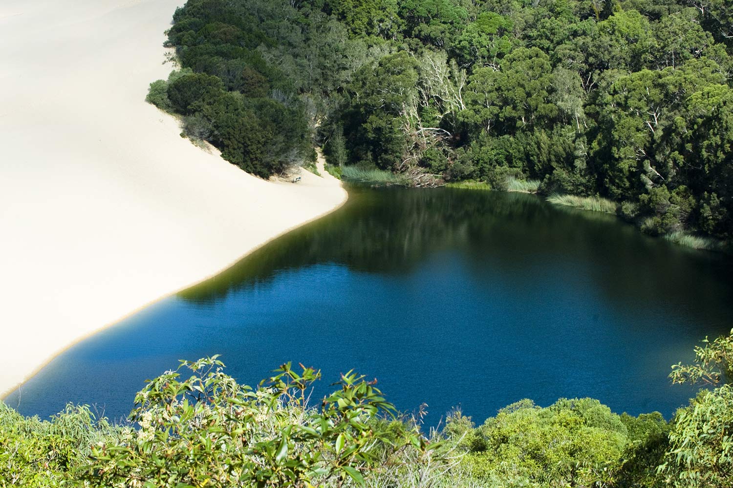 Fraser Island Tour Lake Wobby